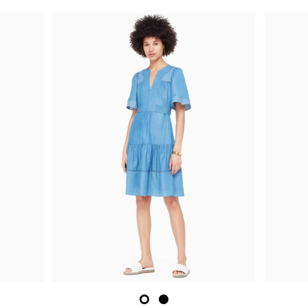 Indigo Railroad Dress
